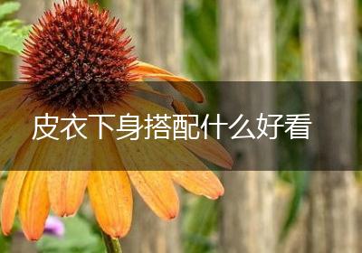 皮衣下身搭配什么好看