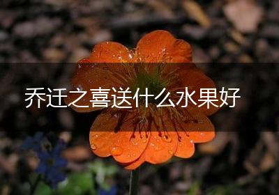 乔迁之喜送什么水果好