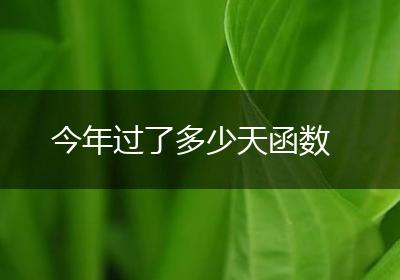 今年过了多少天函数
