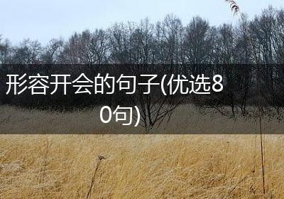 形容开会的句子(优选80句)