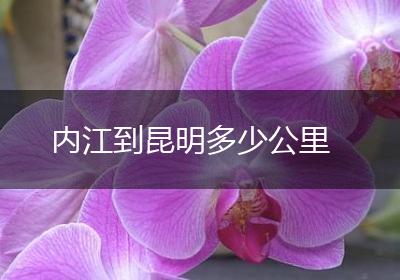 内江到昆明多少公里