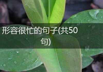 形容很忙的句子(共50句)