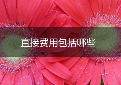 直接费用包括哪些