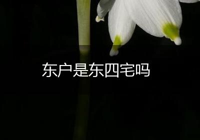 东户是东四宅吗