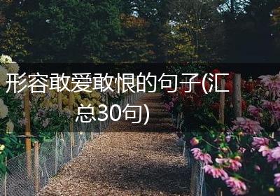 形容敢爱敢恨的句子(汇总30句)