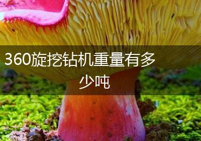 360旋挖钻机重量有多少吨
