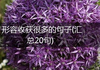 形容收获很多的句子(汇总20句)
