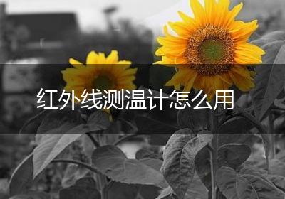 红外线测温计怎么用