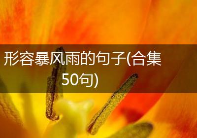 形容暴风雨的句子(合集50句)