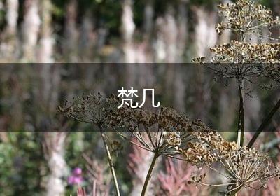 梵几