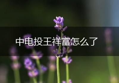 中电投王祥富怎么了