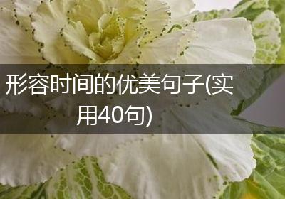 形容时间的优美句子(实用40句)