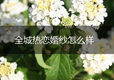 全城热恋婚纱怎么样