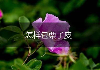 怎样包栗子皮