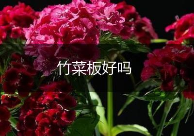 竹菜板好吗