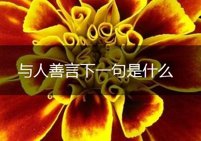 与人善言下一句是什么