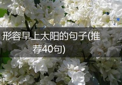 形容早上太阳的句子(推荐40句)
