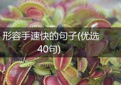 形容手速快的句子(优选40句)