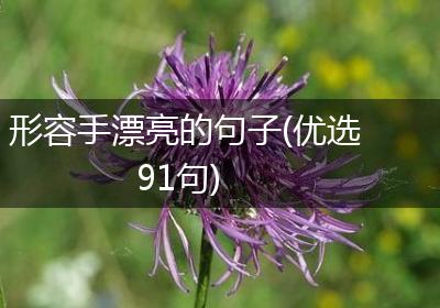 形容手漂亮的句子(优选91句)