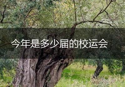 今年是多少届的校运会