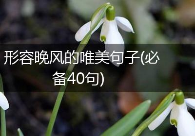 形容晚风的唯美句子(必备40句)