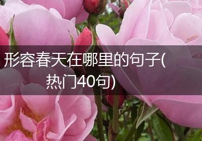 形容春天在哪里的句子(热门40句)