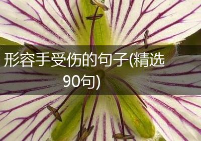 形容手受伤的句子(精选90句)