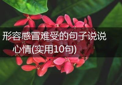 形容感冒难受的句子说说心情(实用10句)