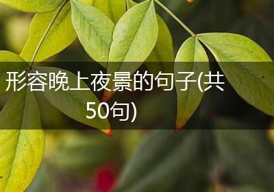 形容晚上夜景的句子(共50句)