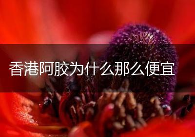 香港阿胶为什么那么便宜