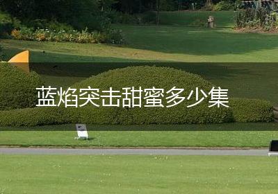 蓝焰突击甜蜜多少集