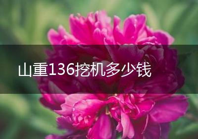 山重136挖机多少钱