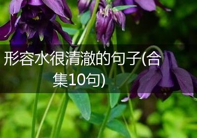 形容水很清澈的句子(合集10句)