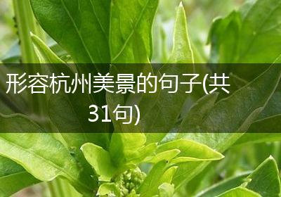形容杭州美景的句子(共31句)