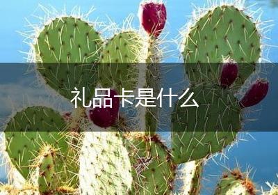 礼品卡是什么