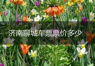 济南聊城车票票价多少