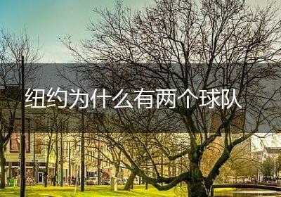 纽约为什么有两个球队