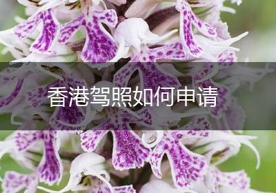 香港驾照如何申请