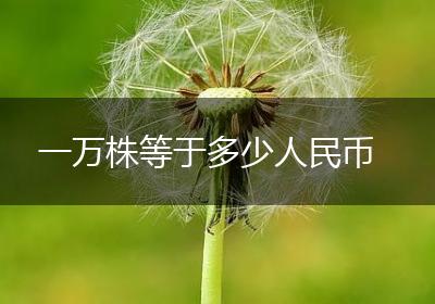 一万株等于多少人民币