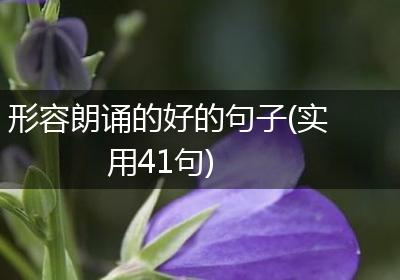 形容朗诵的好的句子(实用41句)