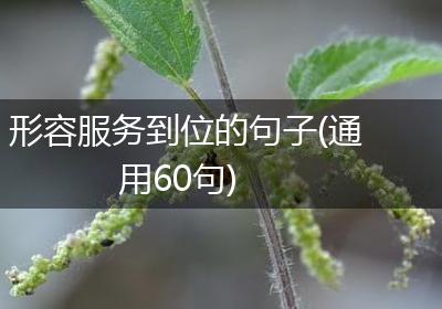 形容服务到位的句子(通用60句)