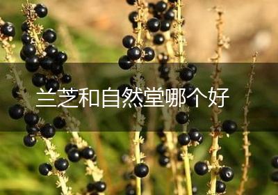 兰芝和自然堂哪个好