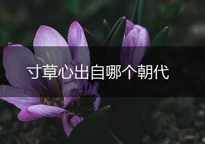 寸草心出自哪个朝代
