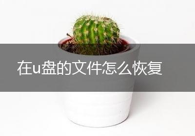 在u盘的文件怎么恢复