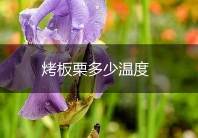 烤板栗多少温度