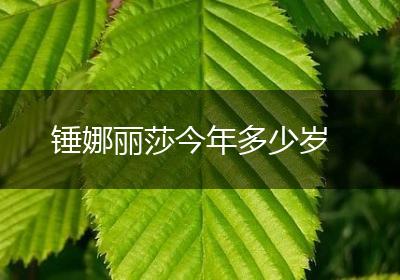 锤娜丽莎今年多少岁