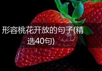 形容桃花开放的句子(精选40句)