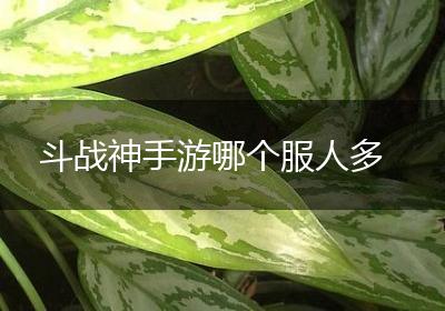 斗战神手游哪个服人多