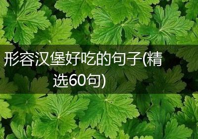 形容汉堡好吃的句子(精选60句)