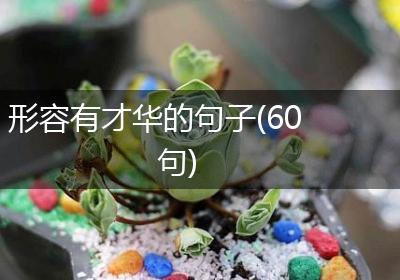 形容有才华的句子(60句)